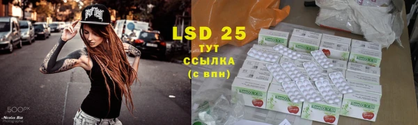 эйфоретик Иннополис