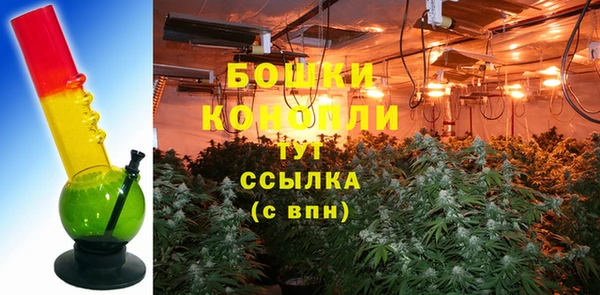 эйфоретик Иннополис