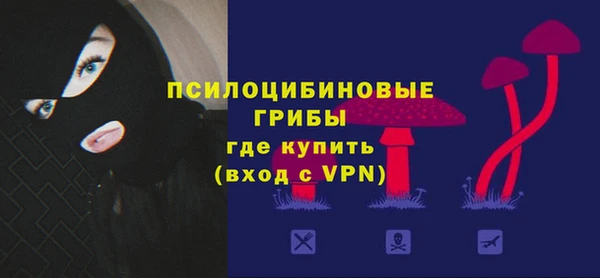 эйфоретик Иннополис