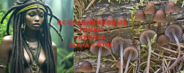эйфоретик Иннополис