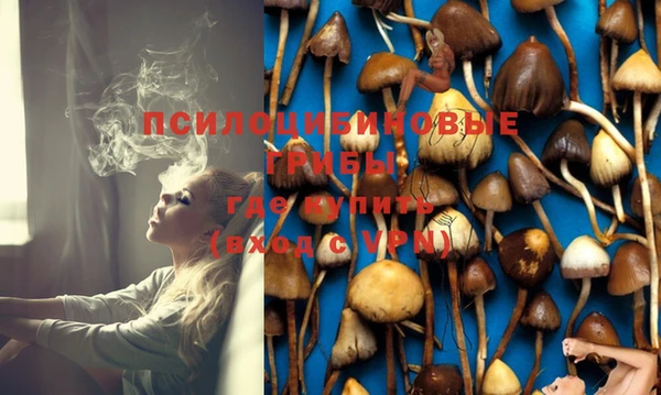 дмт Инсар