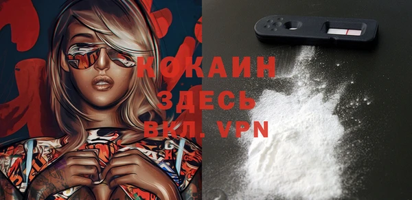 2c-b Инта