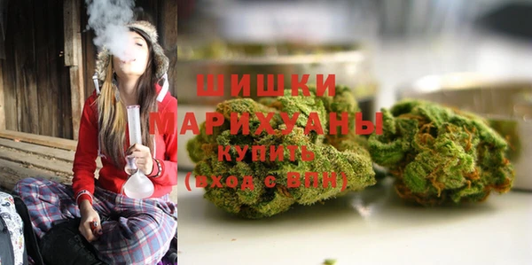 эйфоретик Иннополис