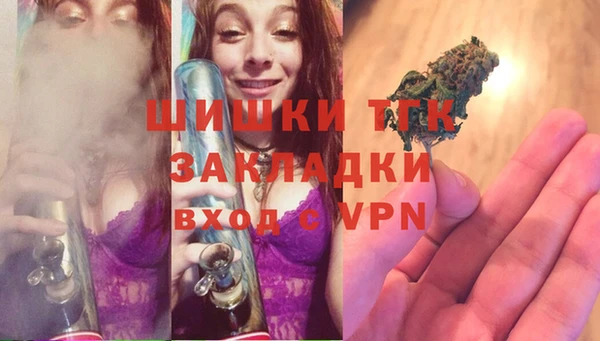 дмт Инсар