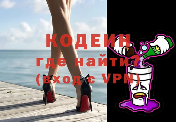 дмт Инсар