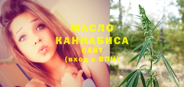 дмт Инсар