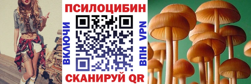 Купить закладки  Нижневартовск  Псилоцибиновые грибы ЛСД 